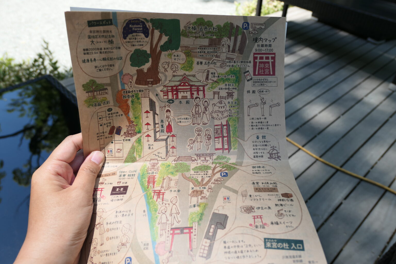 熱海「来宮神社」樹齢2100年の大楠が圧巻!全国屈指のパワースポットで有名です|おさんぽタイムズ